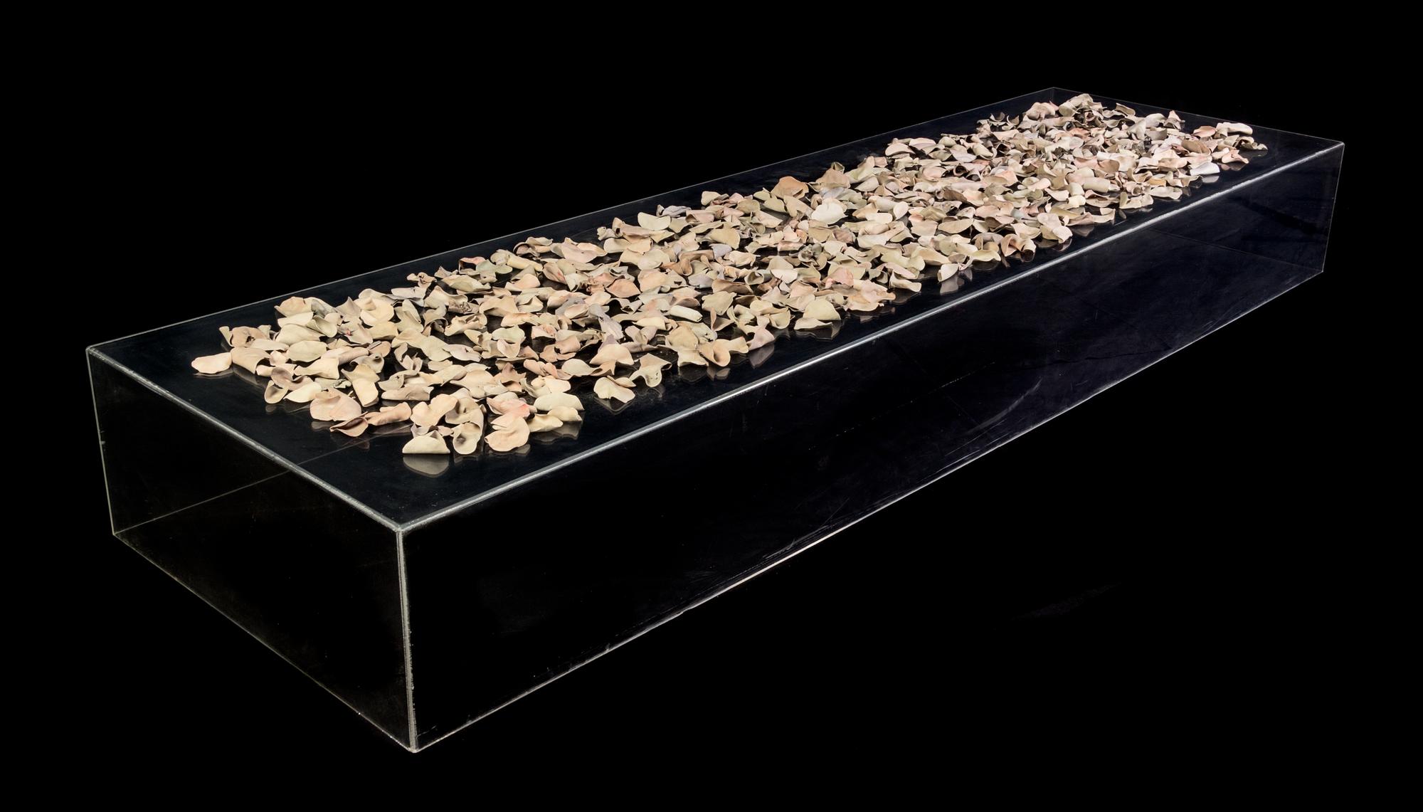 Linda Kramer, (American, b. 1937), Petals, 1977