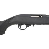 *Ruger 10/22