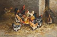 Chickens in a Coop