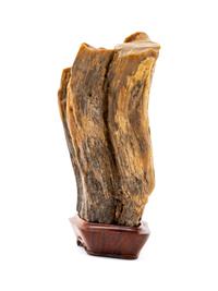 A Chinese Petrified Wood Scholar's Rock