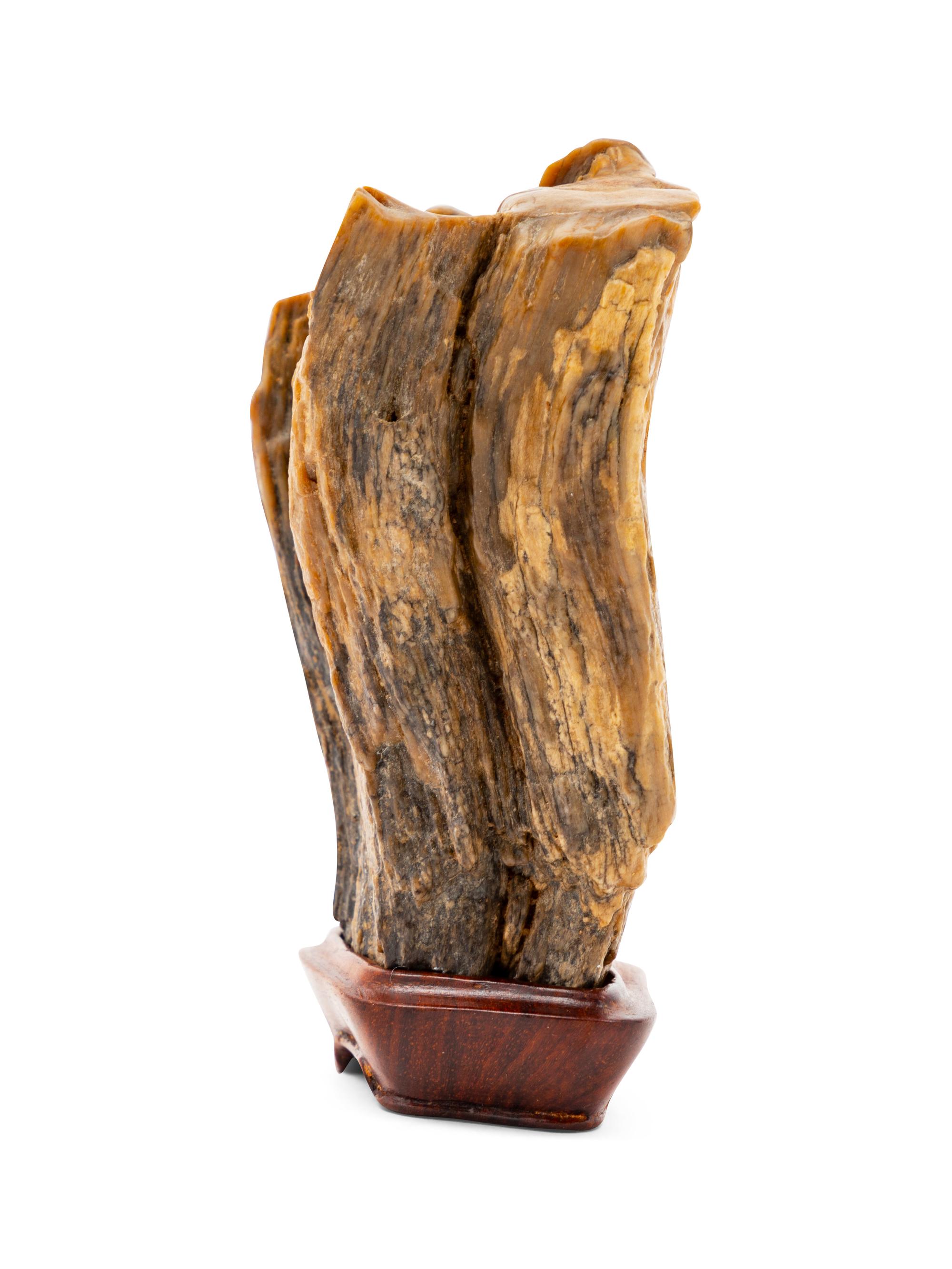 A Chinese Petrified Wood Scholar's Rock