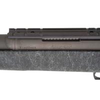 * Remington 700 in .220 Swift
