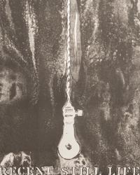 Recent Still Life, 1965