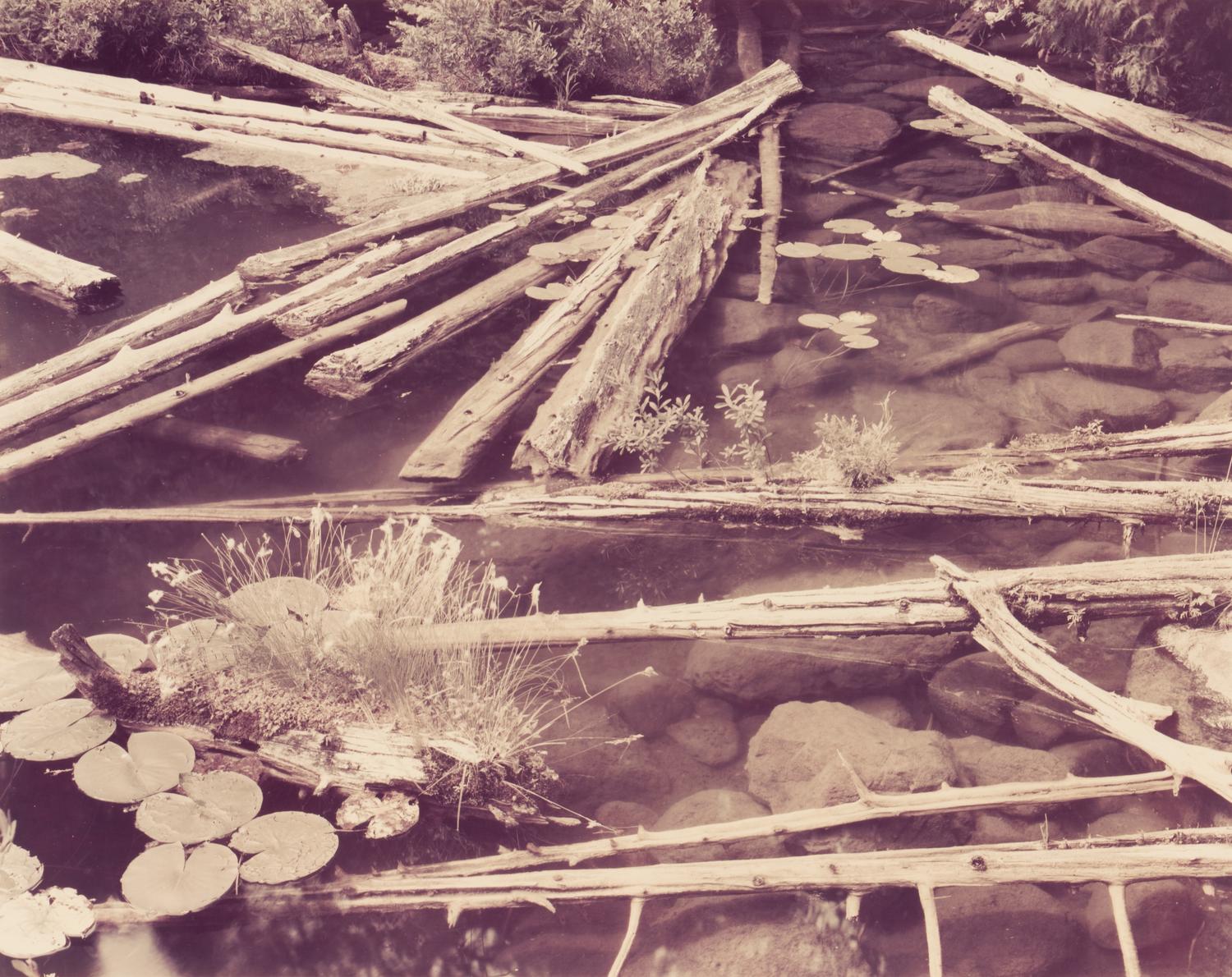 Eighteen Photographs, 1958-1979; printed 1982