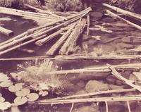 Eighteen Photographs, 1958-1979; printed 1982