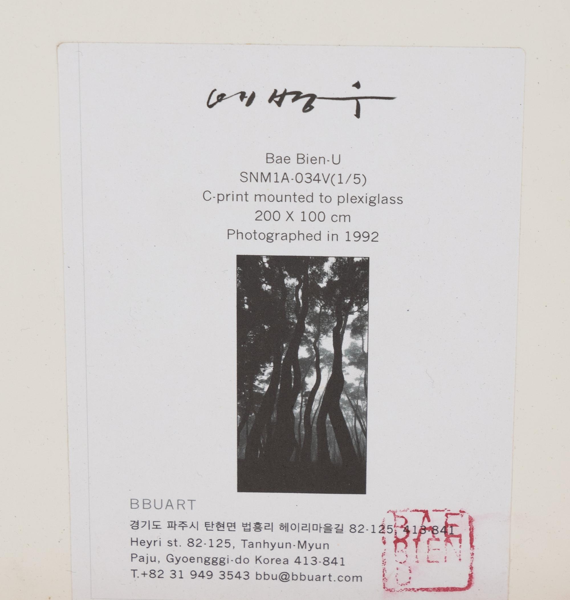 BaeBien-U (born 1950) SNM1A-034, 1992