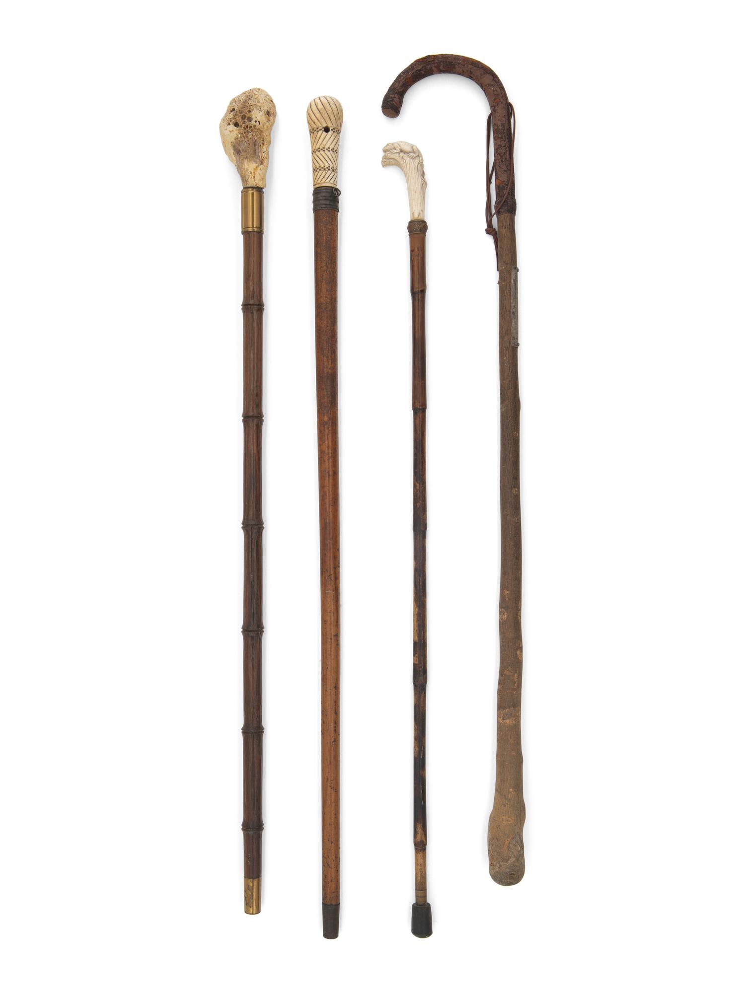 Four Walking Sticks