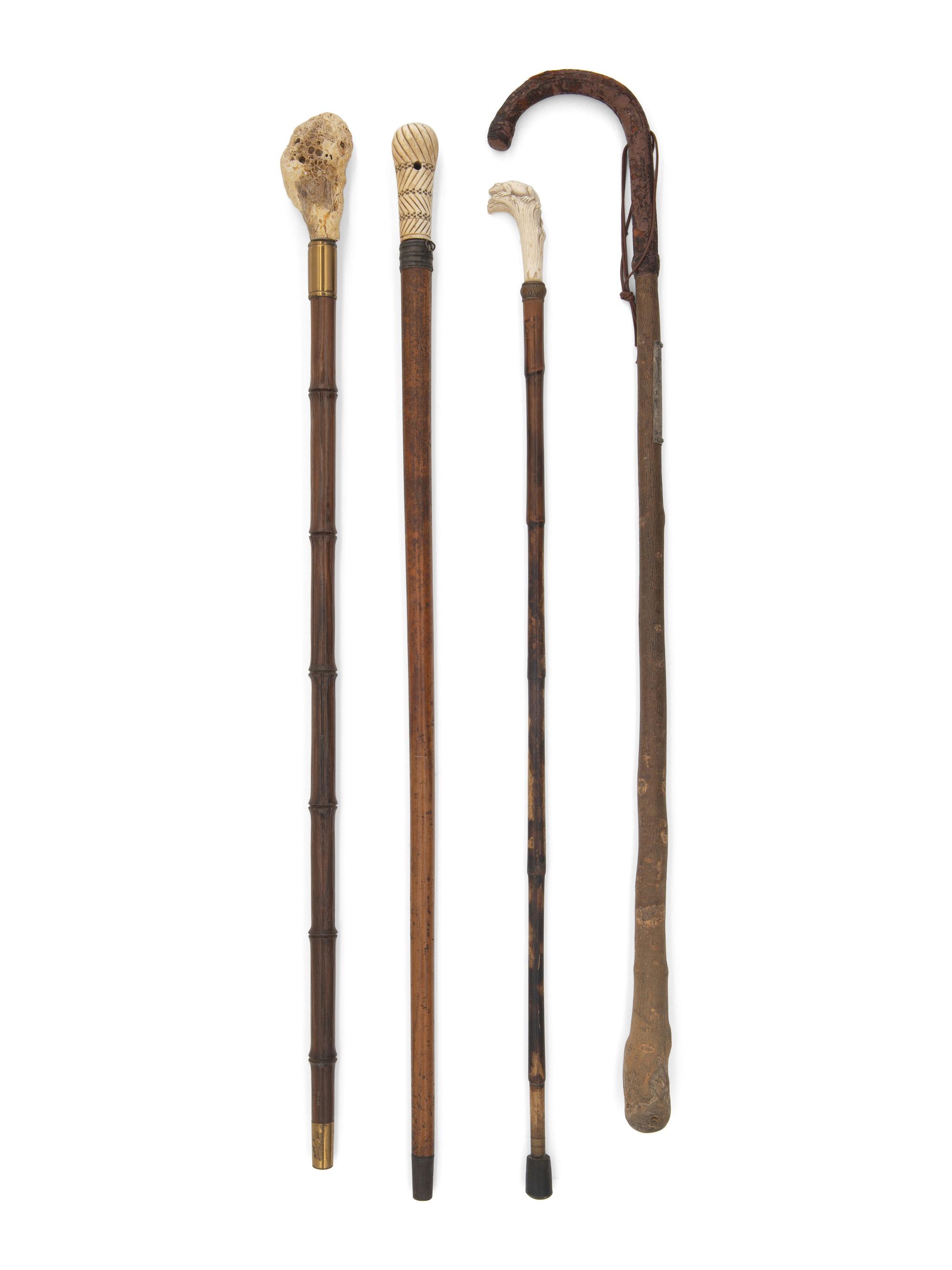 Four Walking Sticks