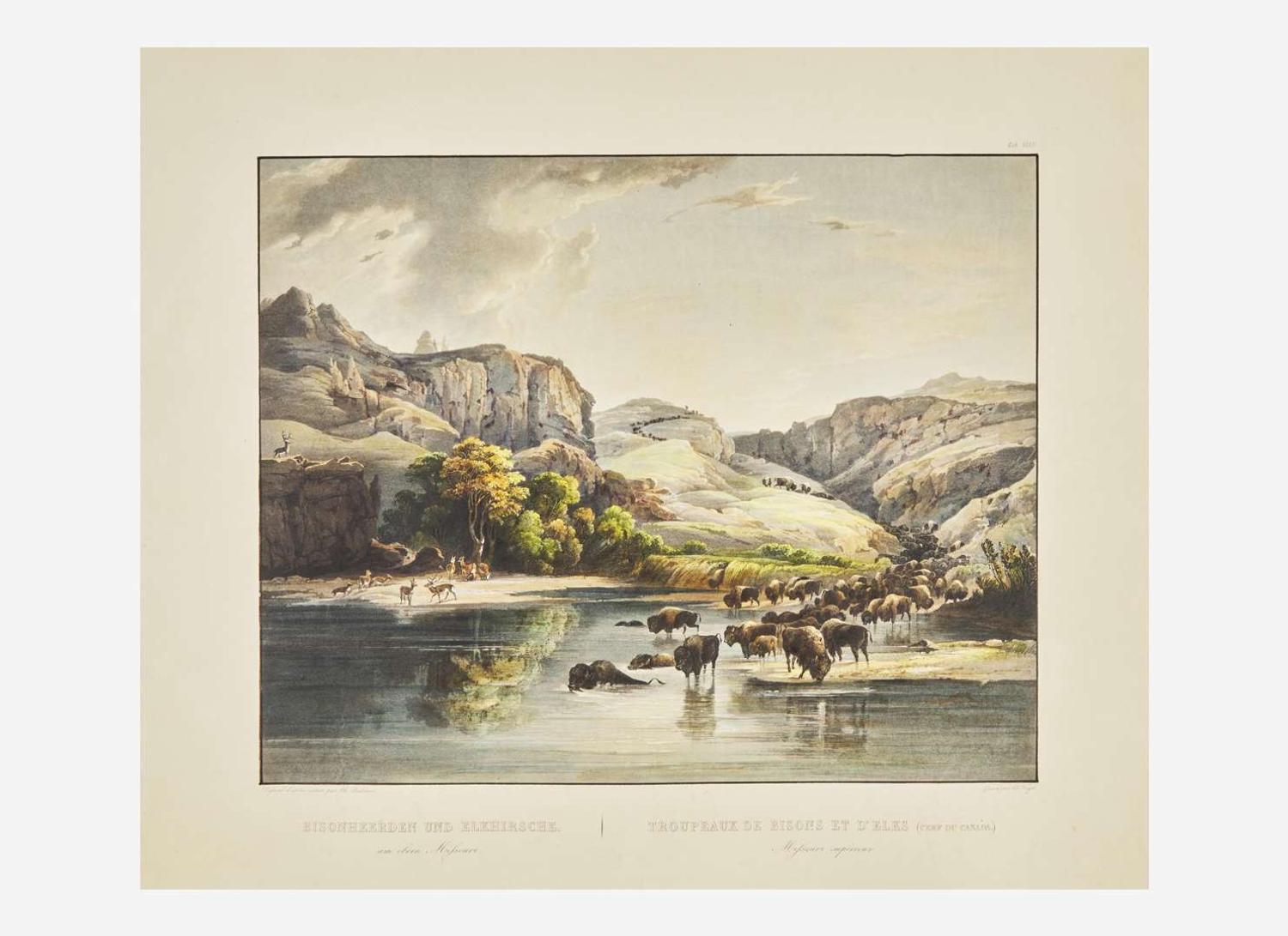 [Native-Americana] Bodmer, Karl: Bisonheerden und Elkhirsche…Tropeaux de Bisons et D'Elks