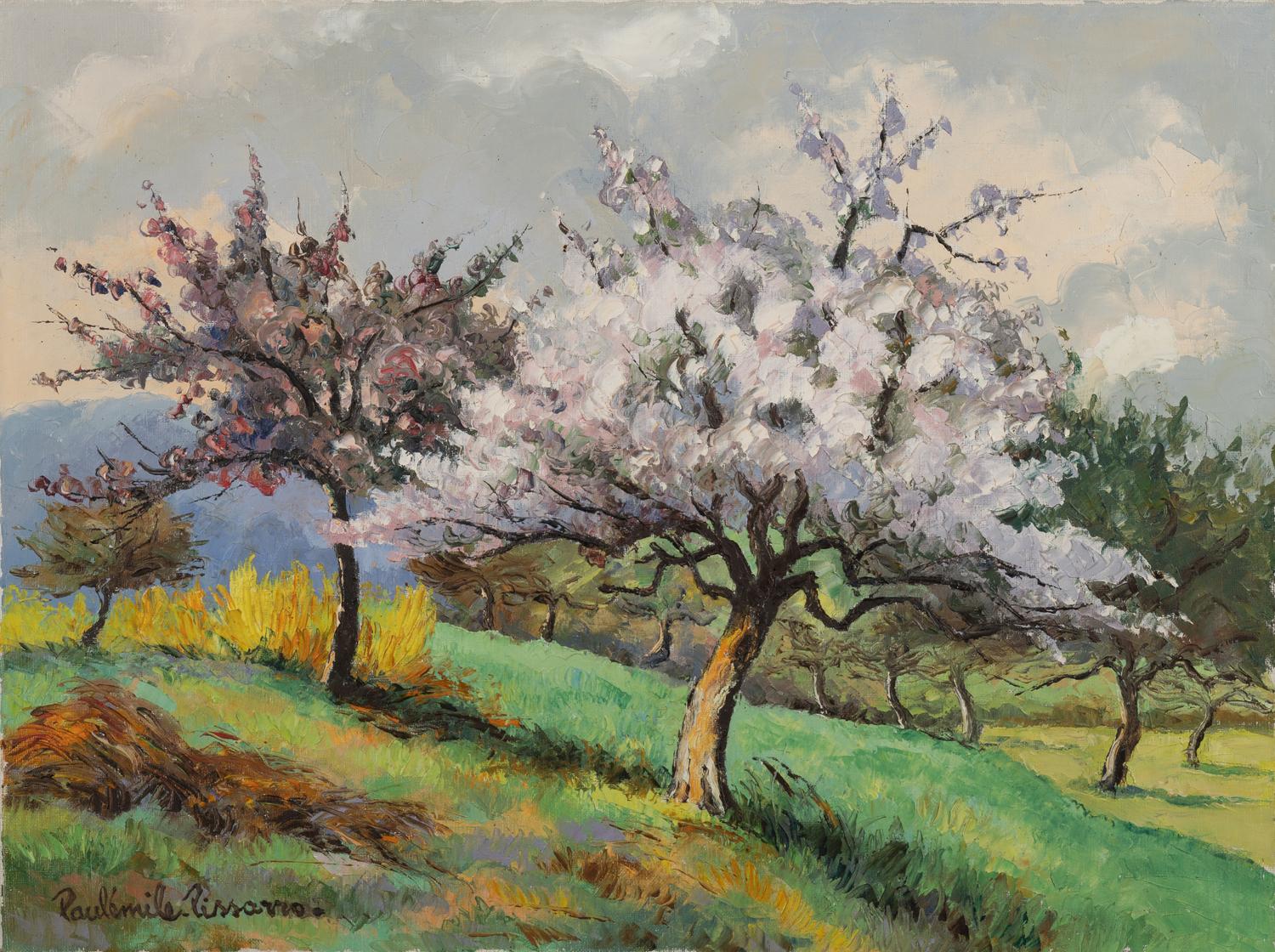Pommiers et genêts en fleurs