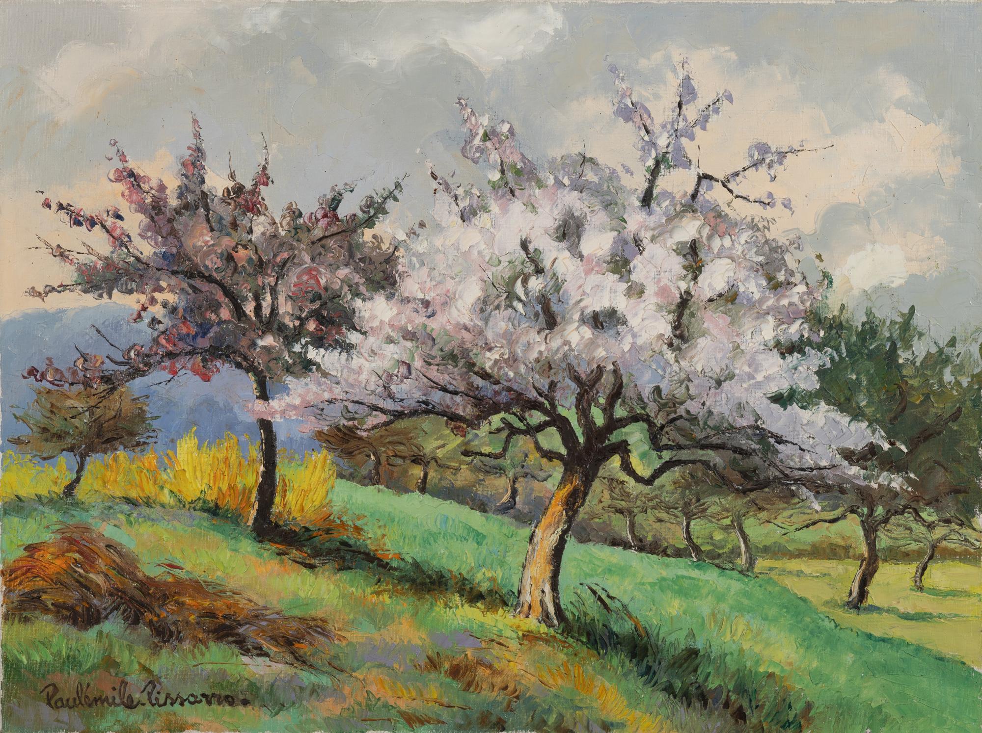 Pommiers et genêts en fleurs