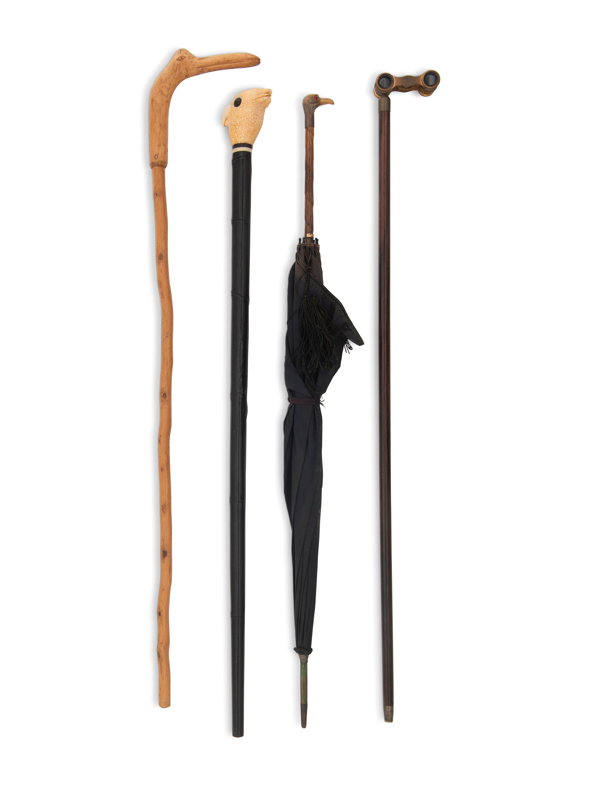 Four Walking Sticks and Umbrellas