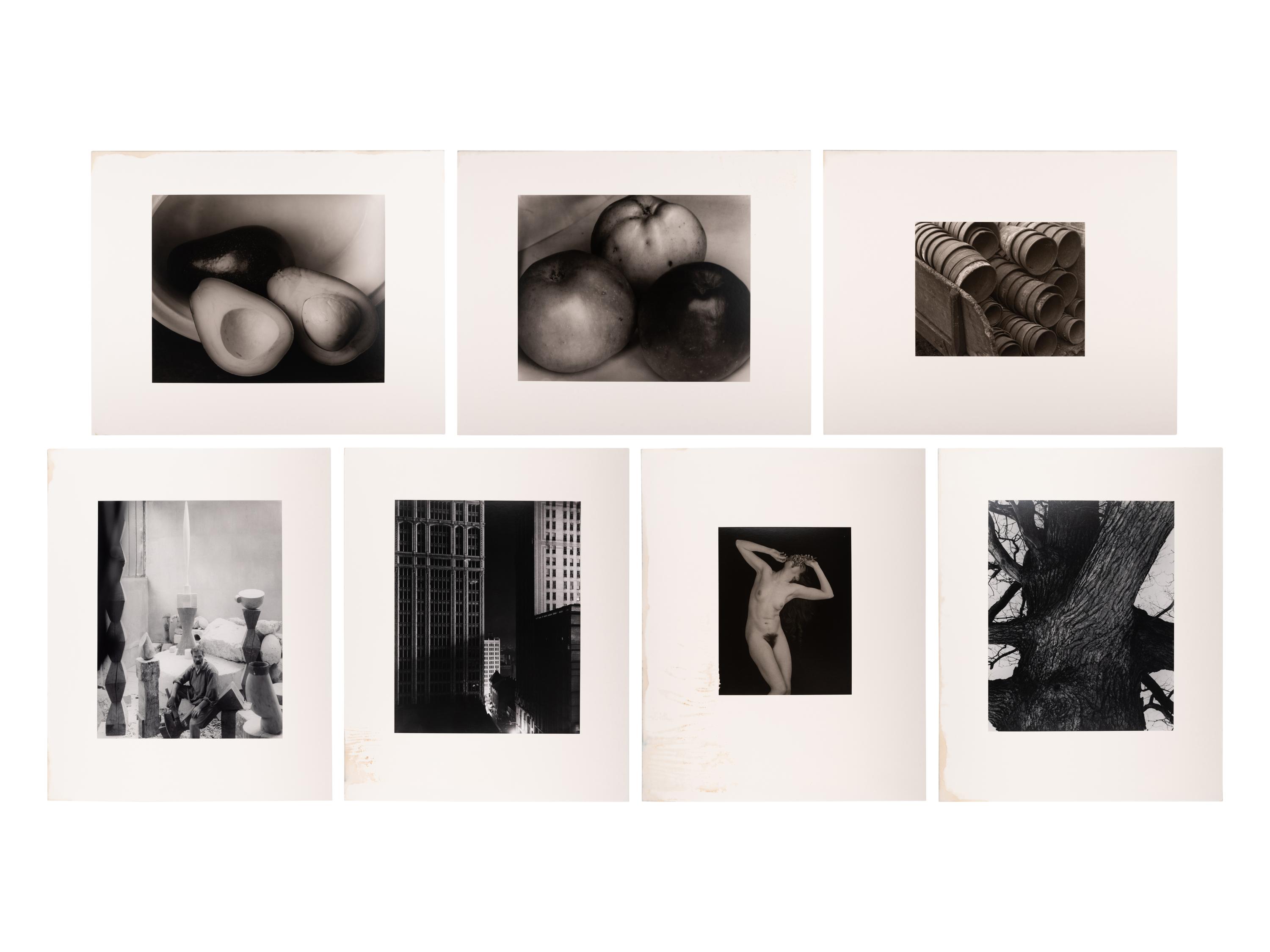 A group of fourteen photographs (from Twenty-Five Photographs printed by George Tice with labels signed by George Tice and Joanna Steichen)