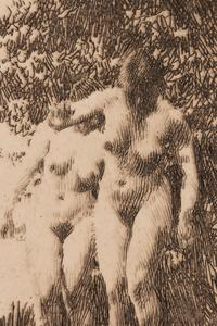 Alder