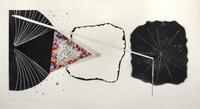 Star Procter; Shallows; Federal Spending ( three works from the Tripartite series )