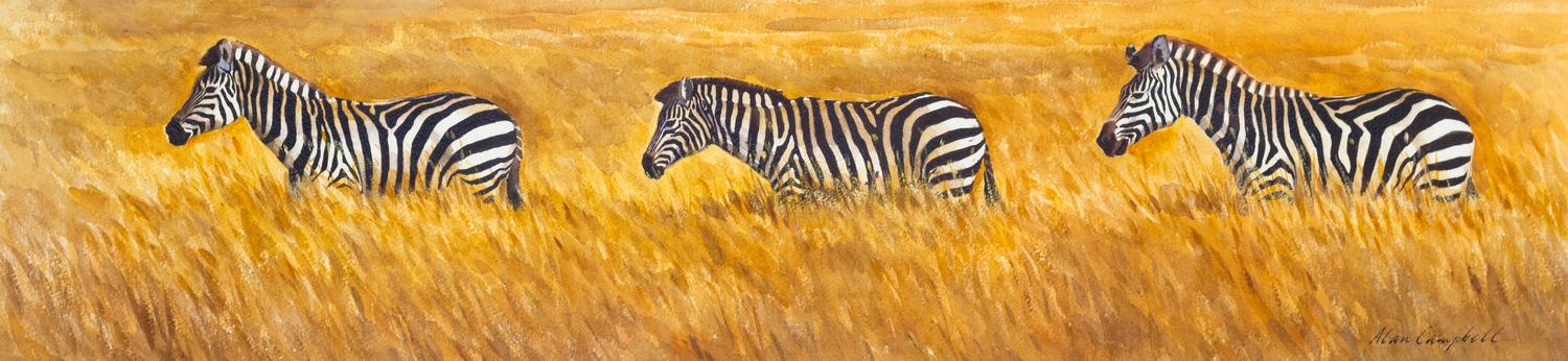 Alan Campbell, (American, b. 1950), Three Zebras, c. 1990
