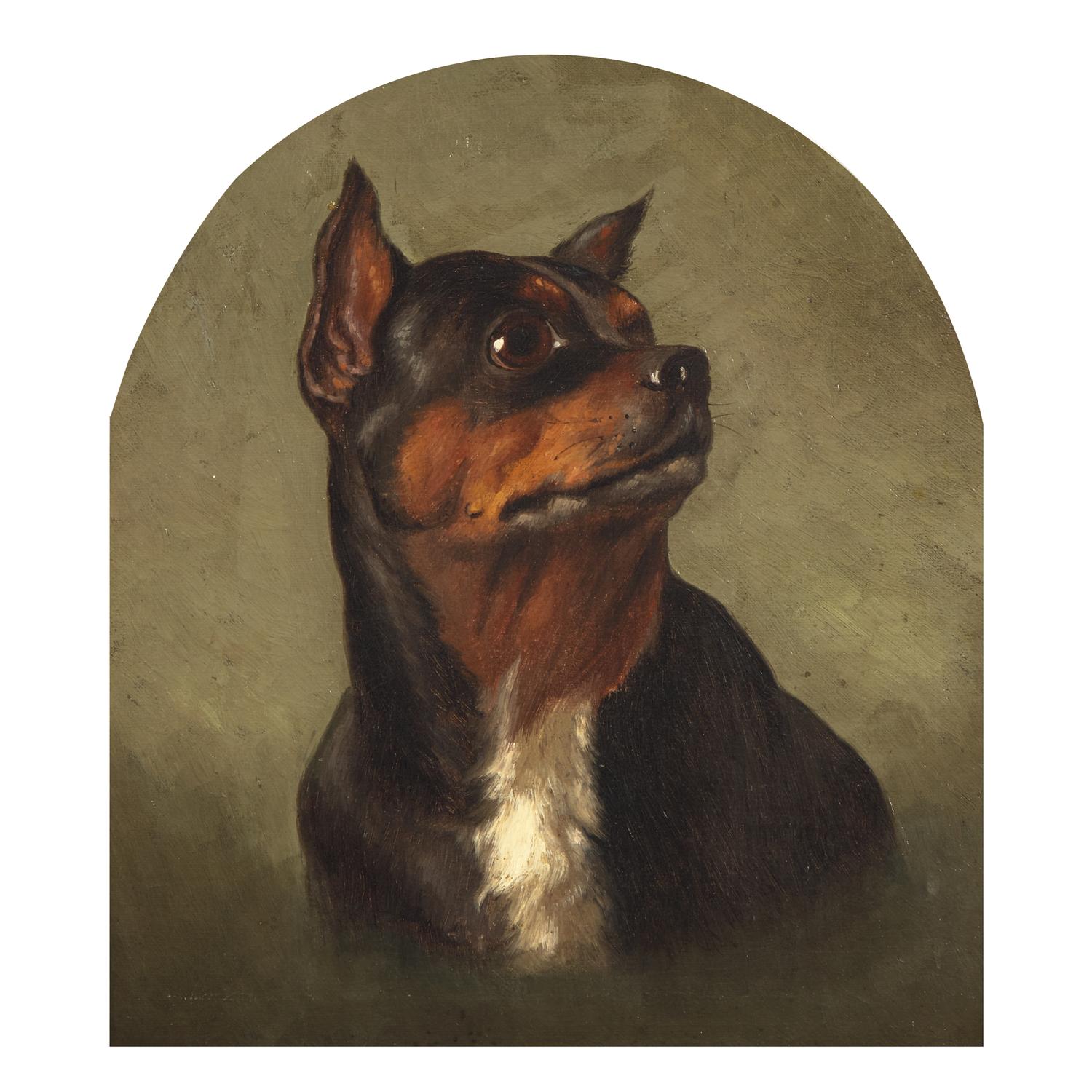 Anglo-American School 19th Century, A Portrait of a Rottweiler