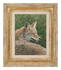 Wiley Coyote , 1995