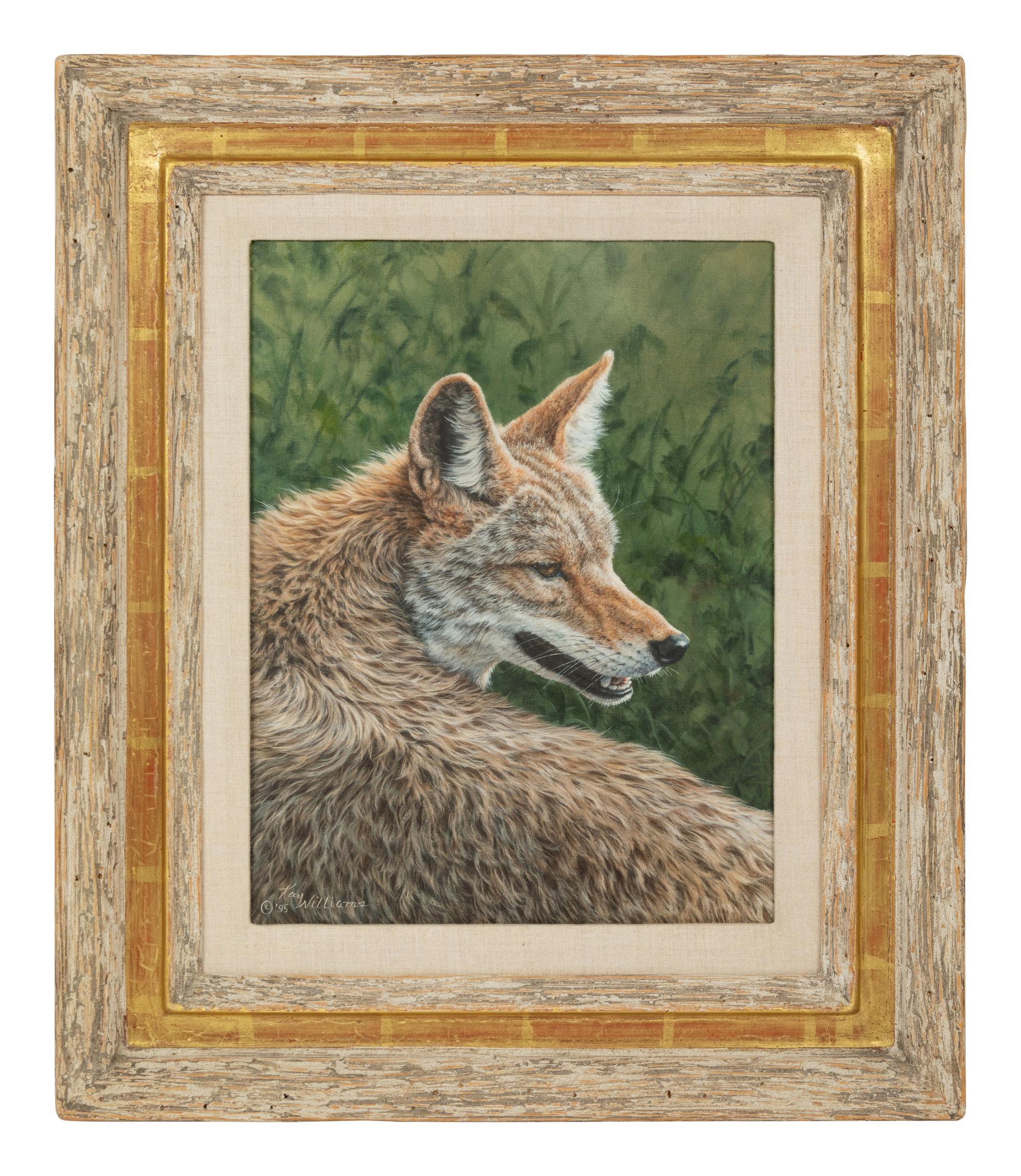 Wiley Coyote , 1995