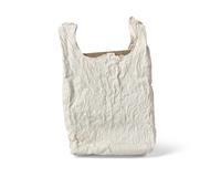 Bag With Canvas #1 , 2011