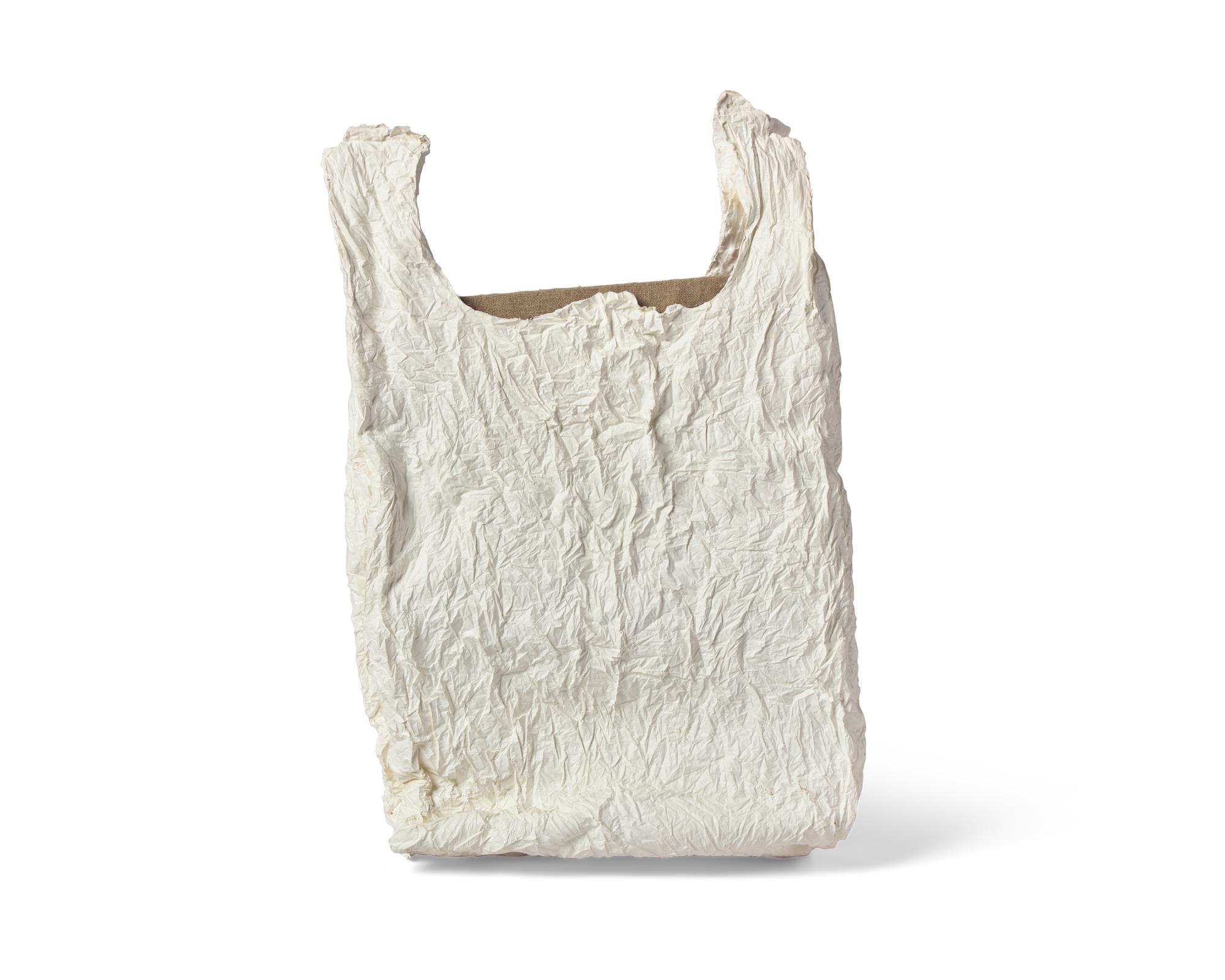 Bag With Canvas #1 , 2011