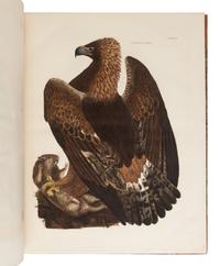 [NATURAL HISTORY]. SELBY, Prideaux John (1788-1867). Plates to Selby’s Illustrations of British Ornithology. Edinburgh: Archibald Constable & Co. and Hurst Robinson & Co.; Edinburgh, London, and Dublin: W. H. Lizars, Longman, Rees, Orme, Brown, Green & Longman, and W. Curry, [1833-] 1834.