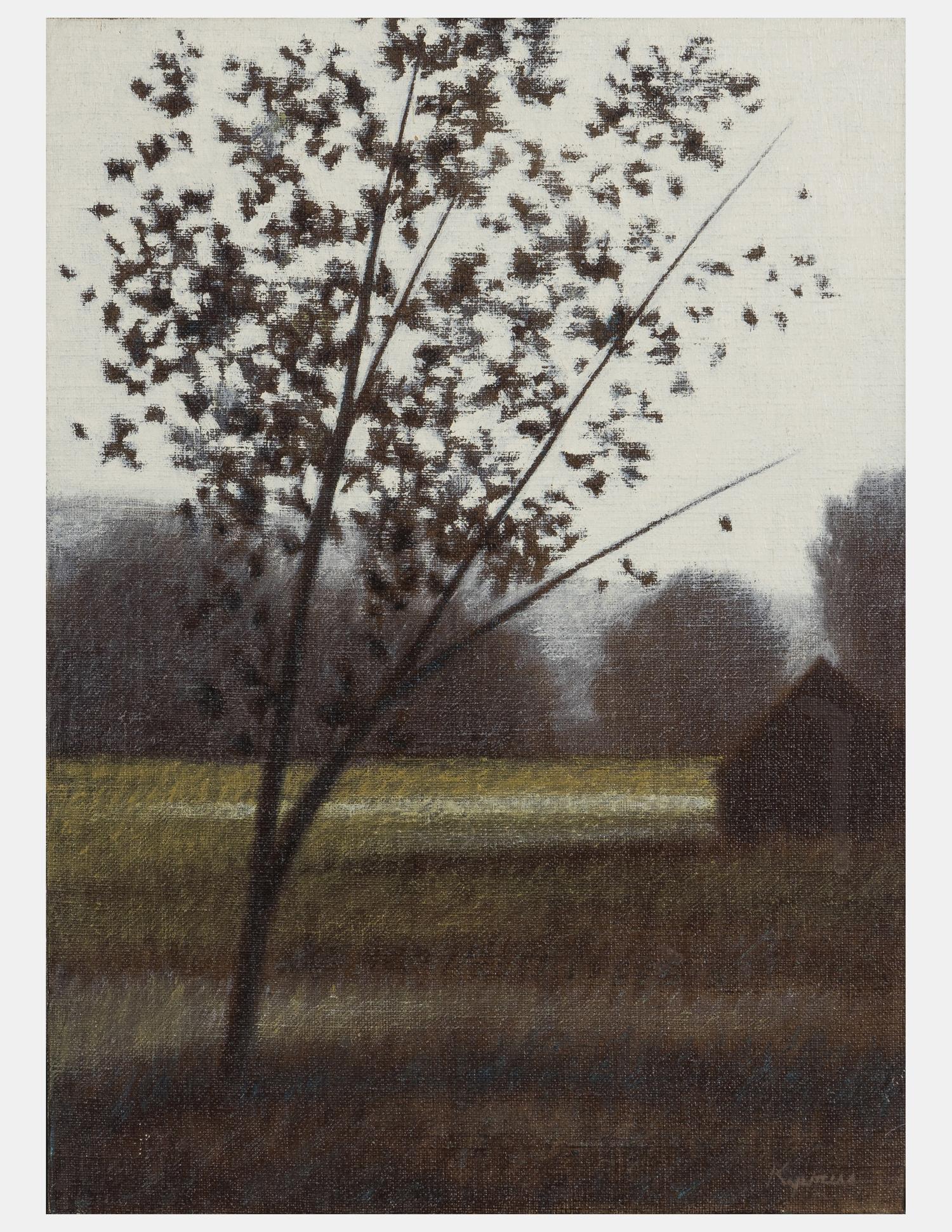 Across Field
