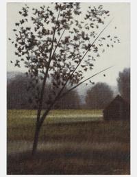 Across Field