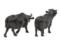 A Pair of Bronze Bulls