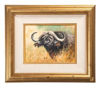 Buffalo Head Study