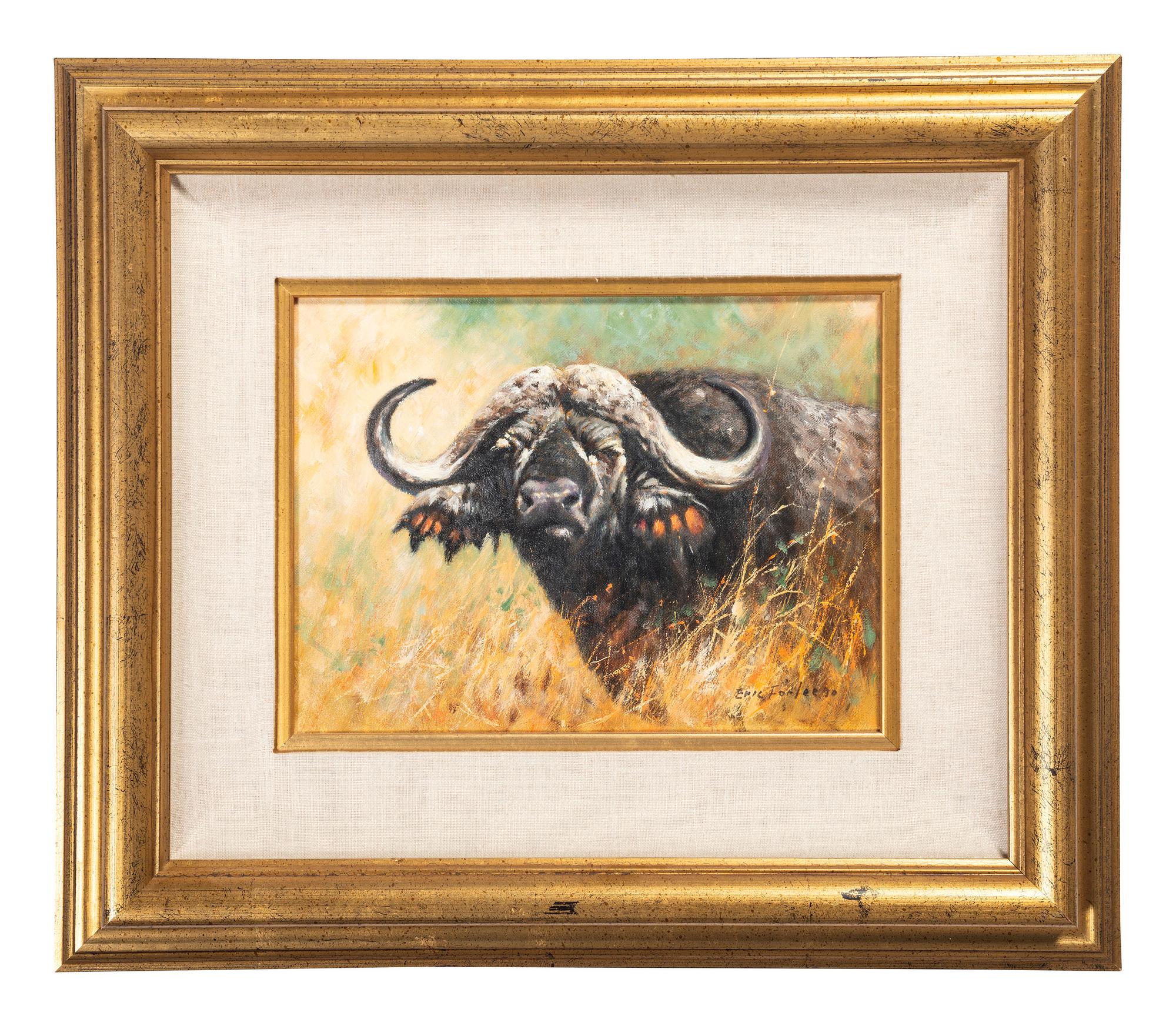 Buffalo Head Study
