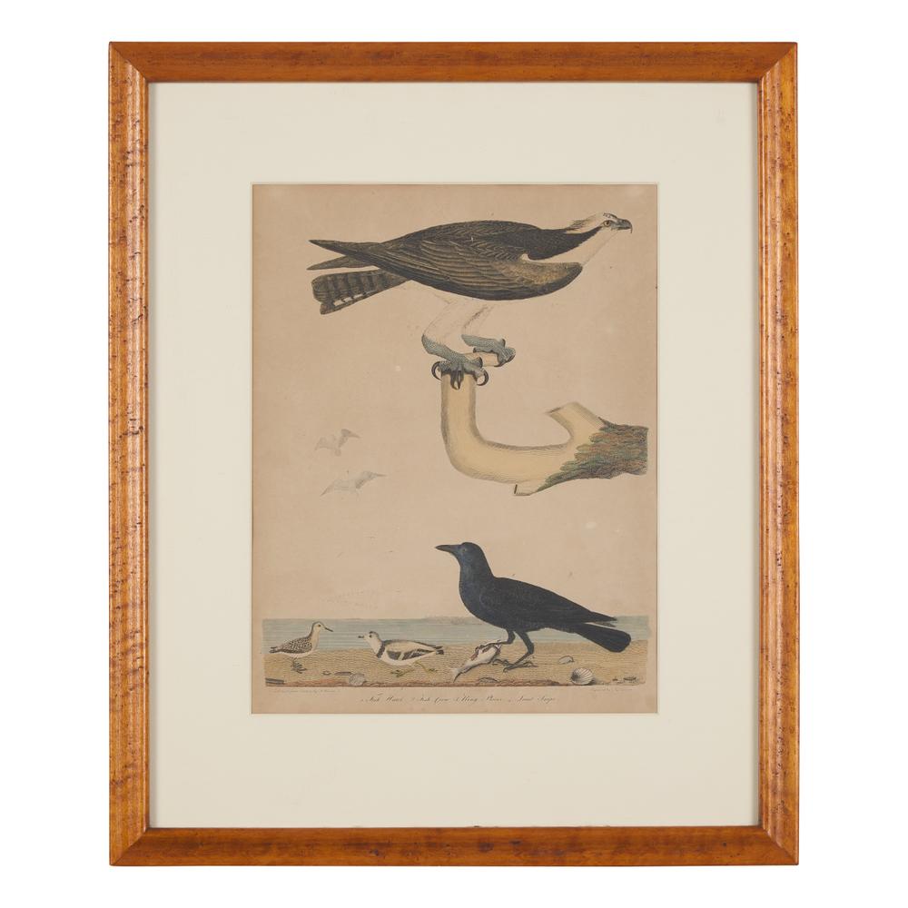 Alexander Lawson (1773-1846) and John G. Warnicke (died 1818), After Alexander Wilson (1766-1813), A Set of Sixteen Hand-Colored Engravings of Various Birds