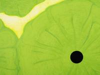 Six Greens