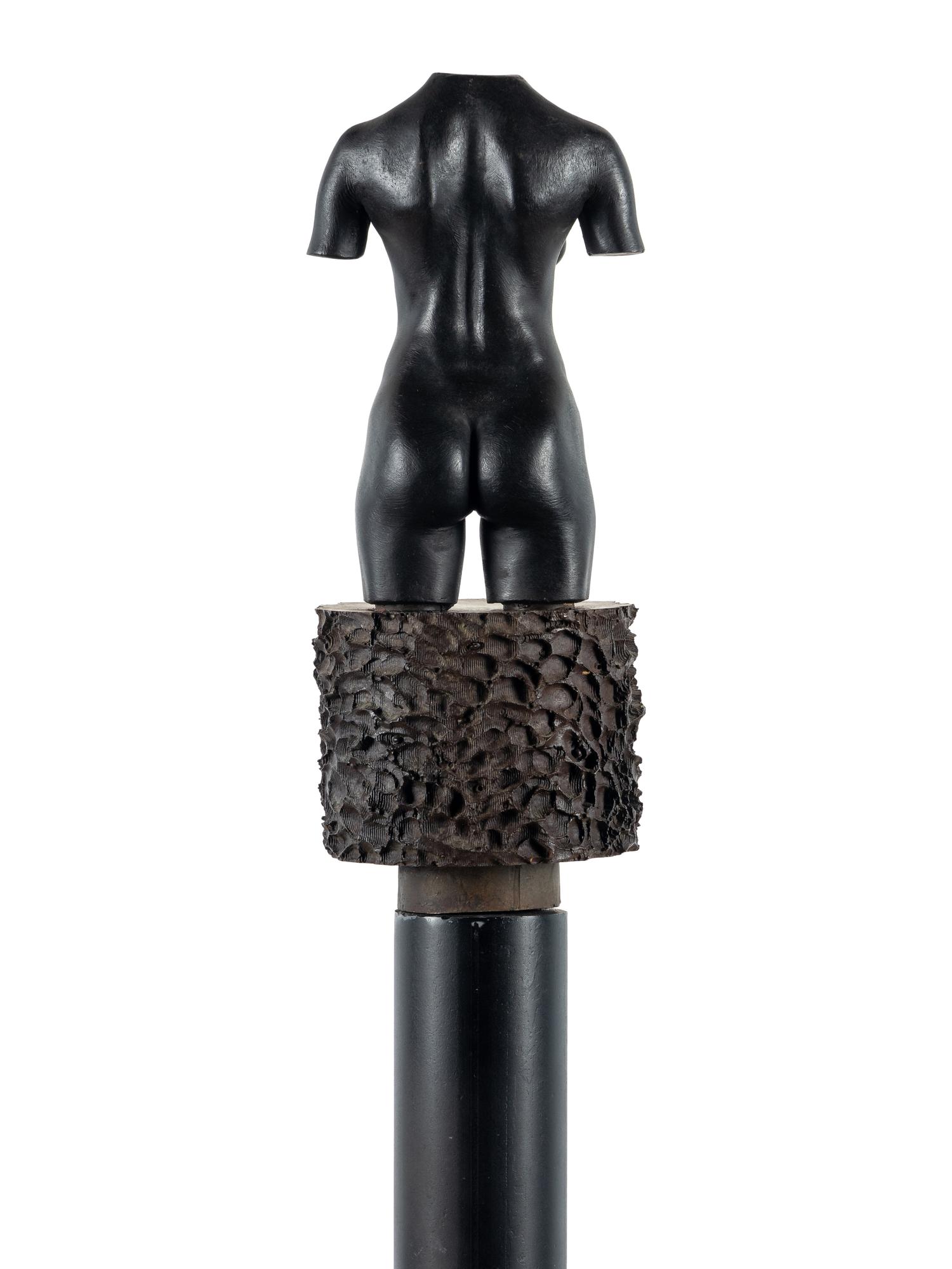 MOCA Torso , 1992-95