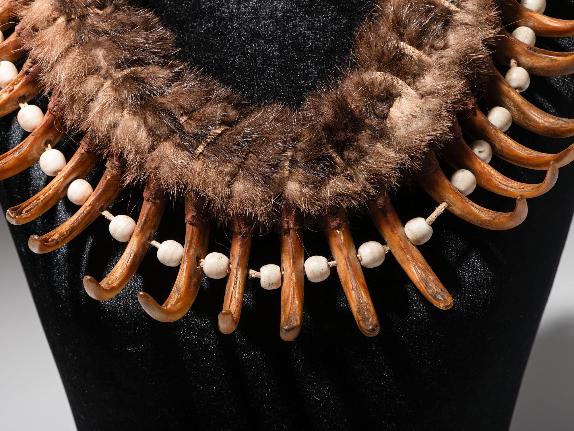 Plains Grizzly Claw Necklace