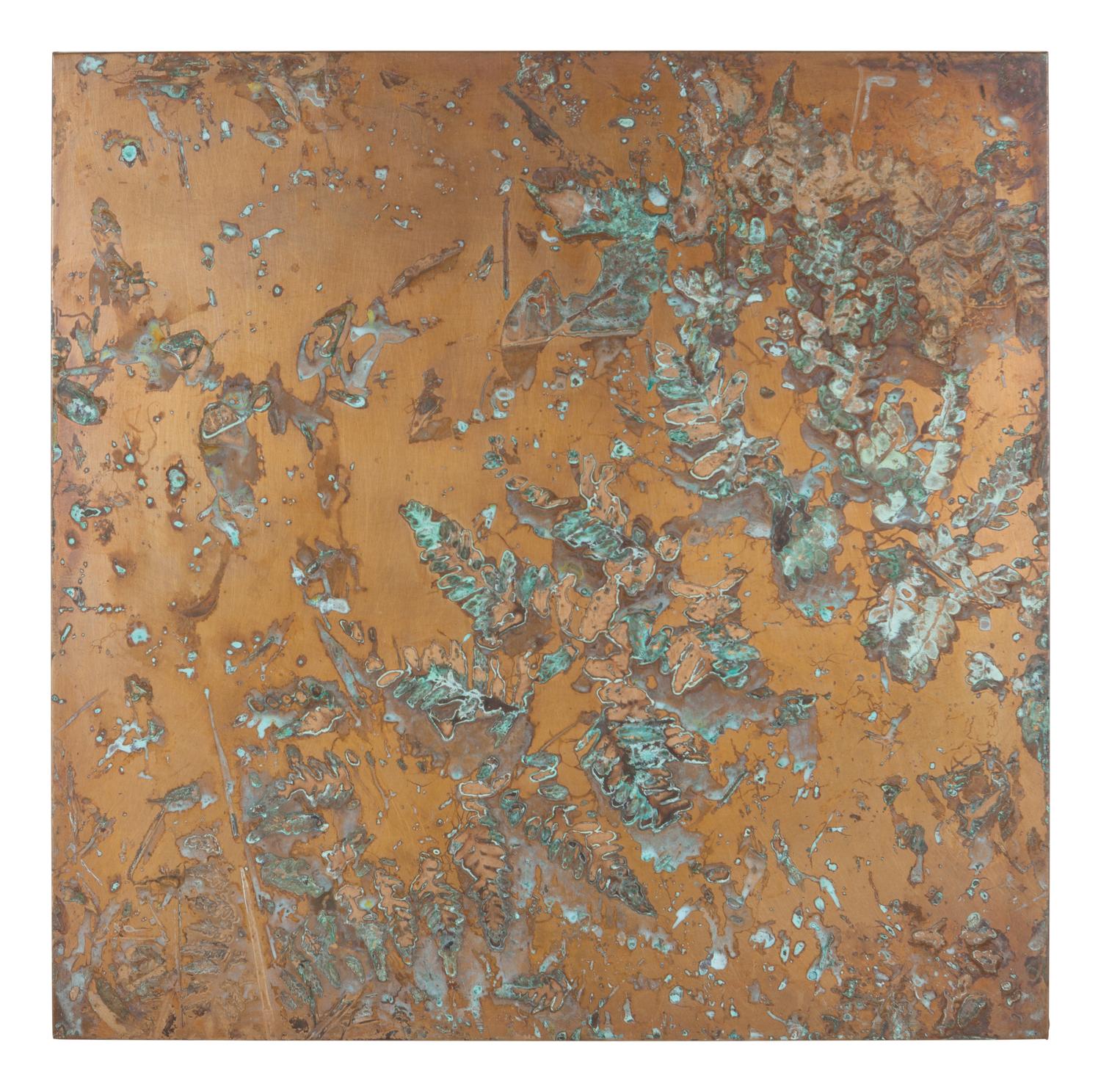 From Forest Mapping Series