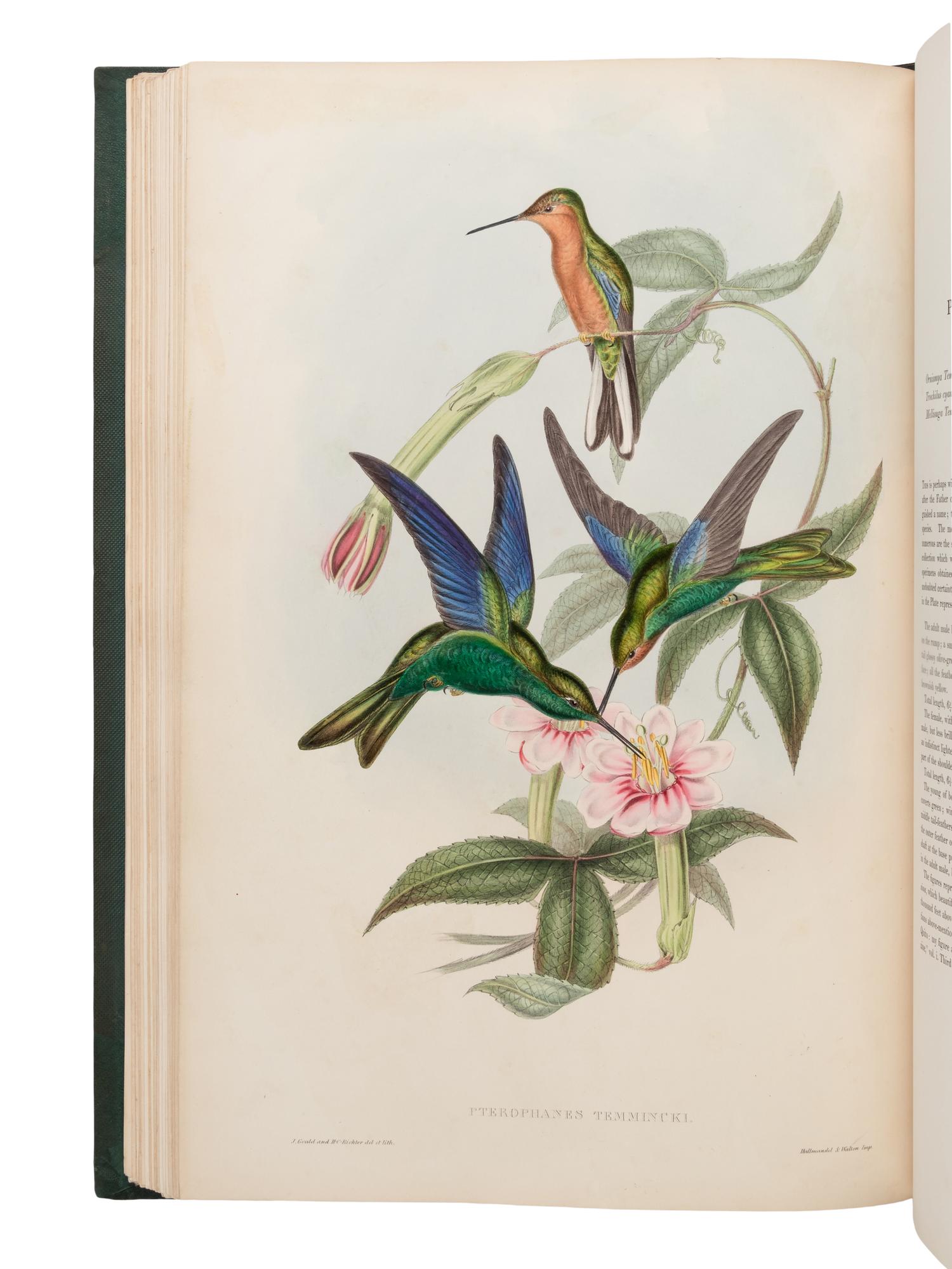 [NATURAL HISTORY]. GOULD, John (1804-1881). A Monograph of the Trochilidae, or Family of Humming-Birds . London: Taylor and Francis for the Author, [1849-] 1861.