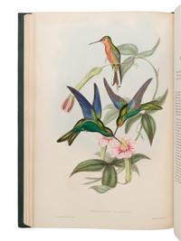 [NATURAL HISTORY]. GOULD, John (1804-1881). A Monograph of the Trochilidae, or Family of Humming-Birds . London: Taylor and Francis for the Author, [1849-] 1861.