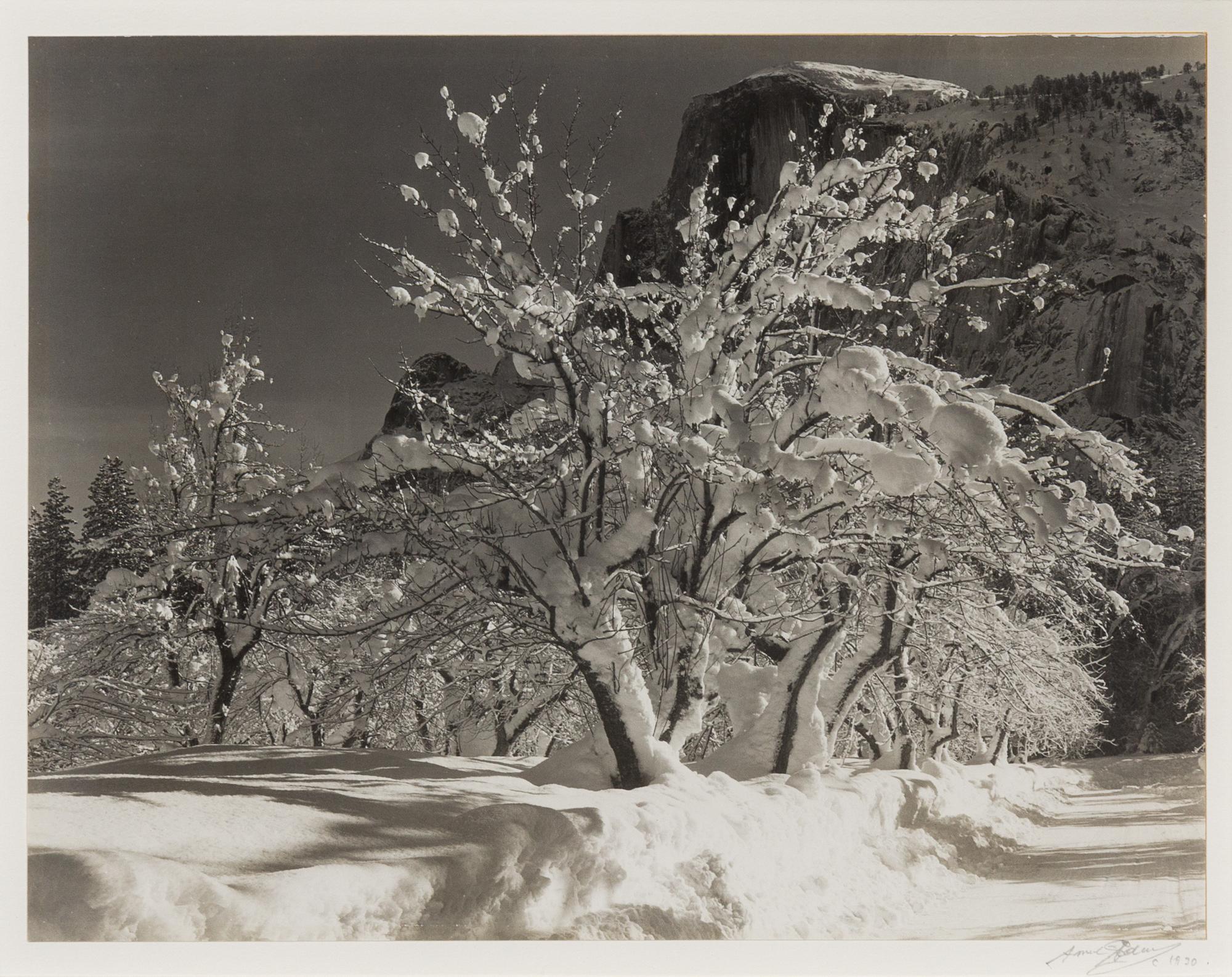 Half Dome, Orchard, Winter, Yosemite National Park