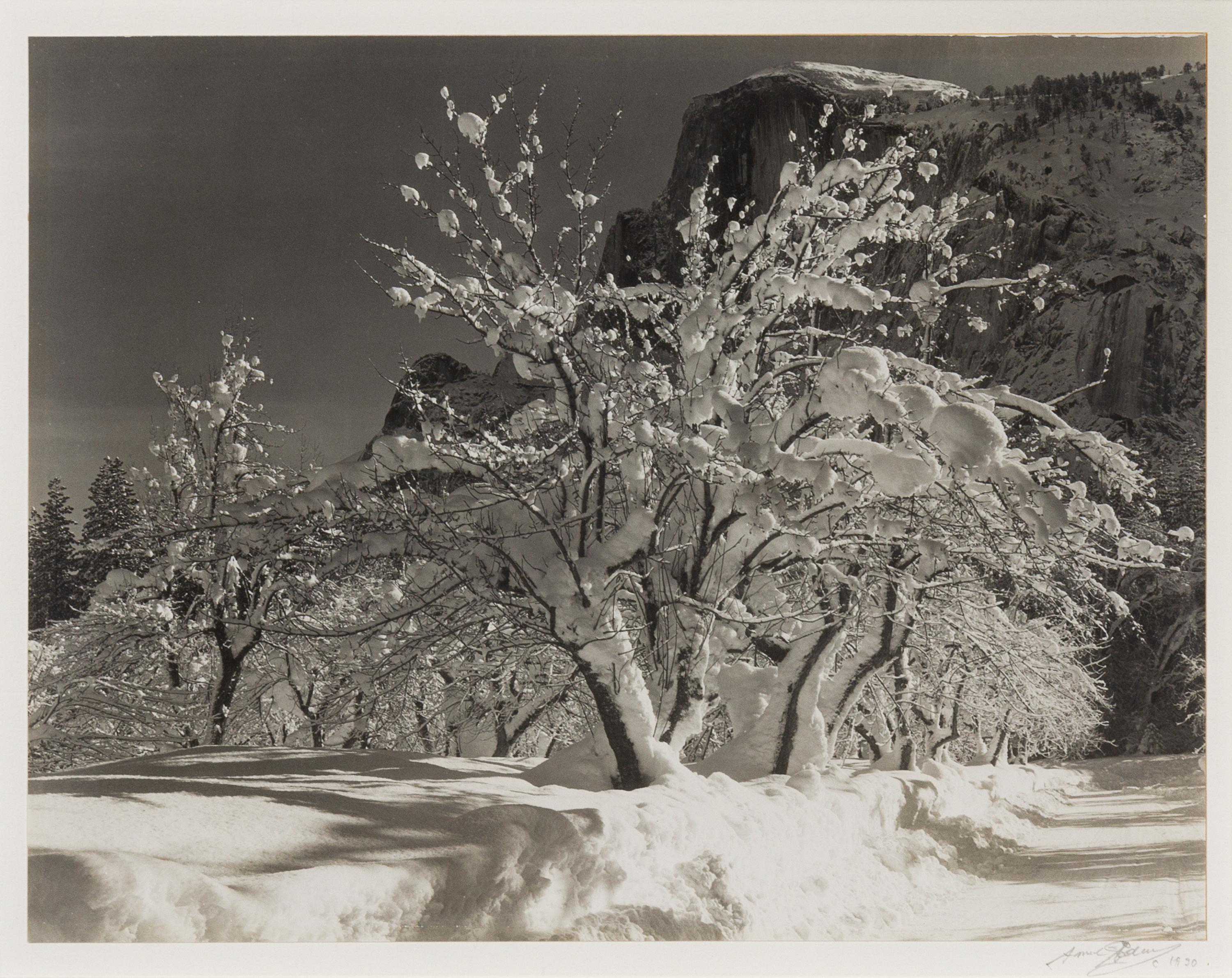 Half Dome, Orchard, Winter, Yosemite National Park