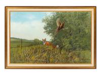 Red Fox and Pheasant