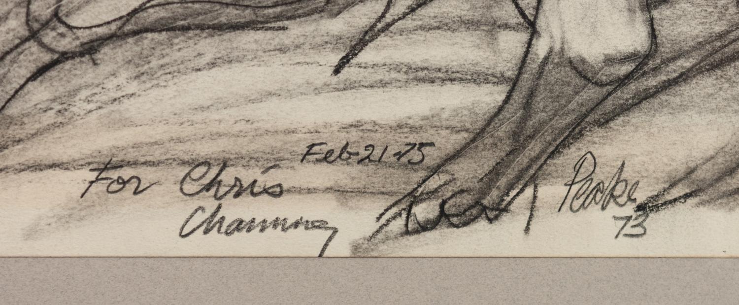 Group of Two Bull Drawings