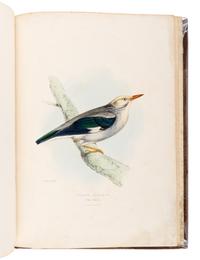 [GOULD, John, his copy]. GRAY, George Robert (1808-1872). A Fasciculus of the Birds of China . [London: privately printed, 1871.]