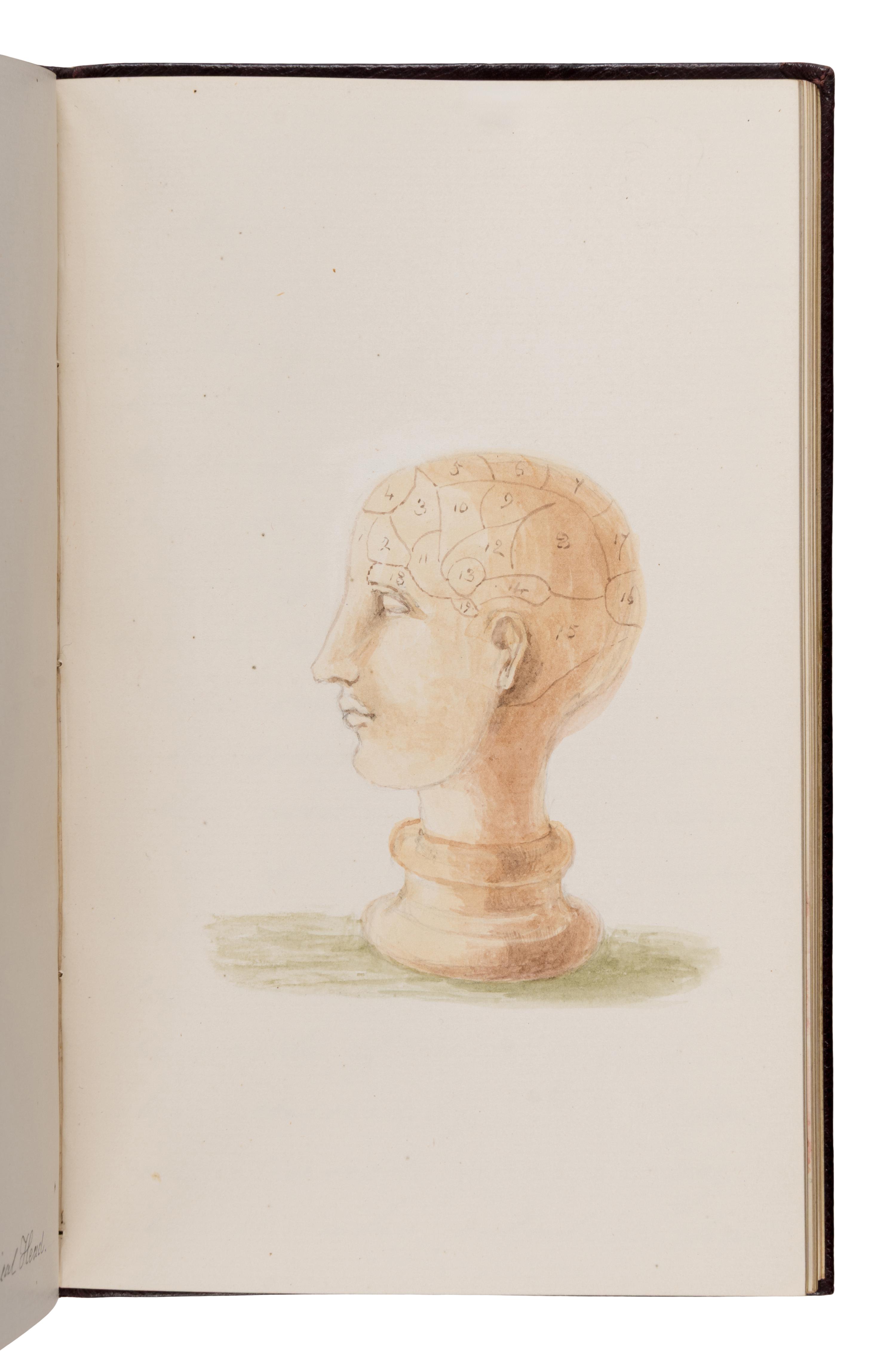 [Children’s Book]. Evans, Edith, illustrator. -- Hunter, Julia. A hitherto unpublished autograph manuscript fair copy of "Scientific Toys: Made for Amusement but Illustrating Some Important Principle." N.p., January 1884.