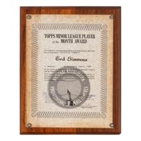 A Large Archive of Awards and Autographs from The Personal Collection of Ted Simmons