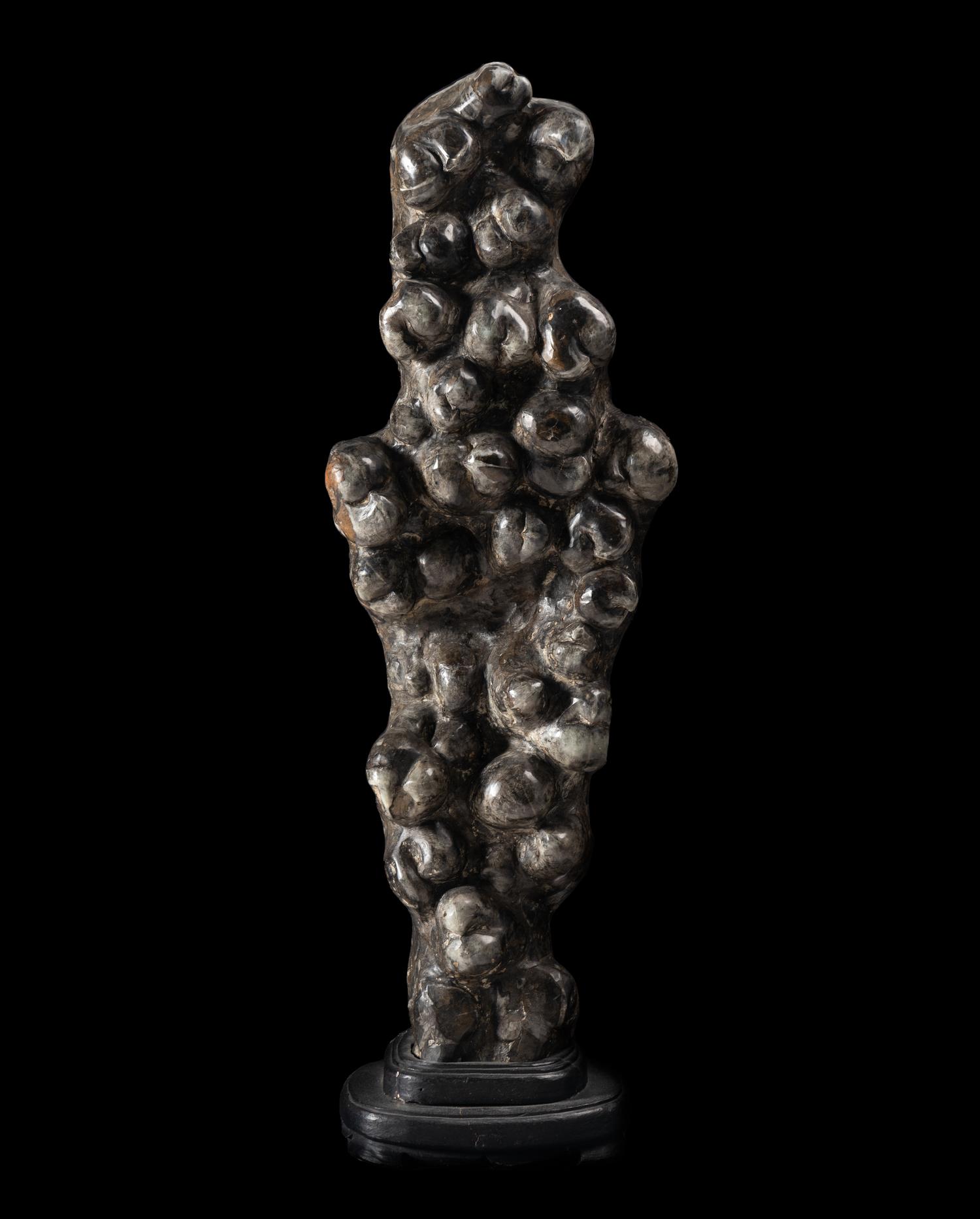 A Chinese Scholar's Rock
