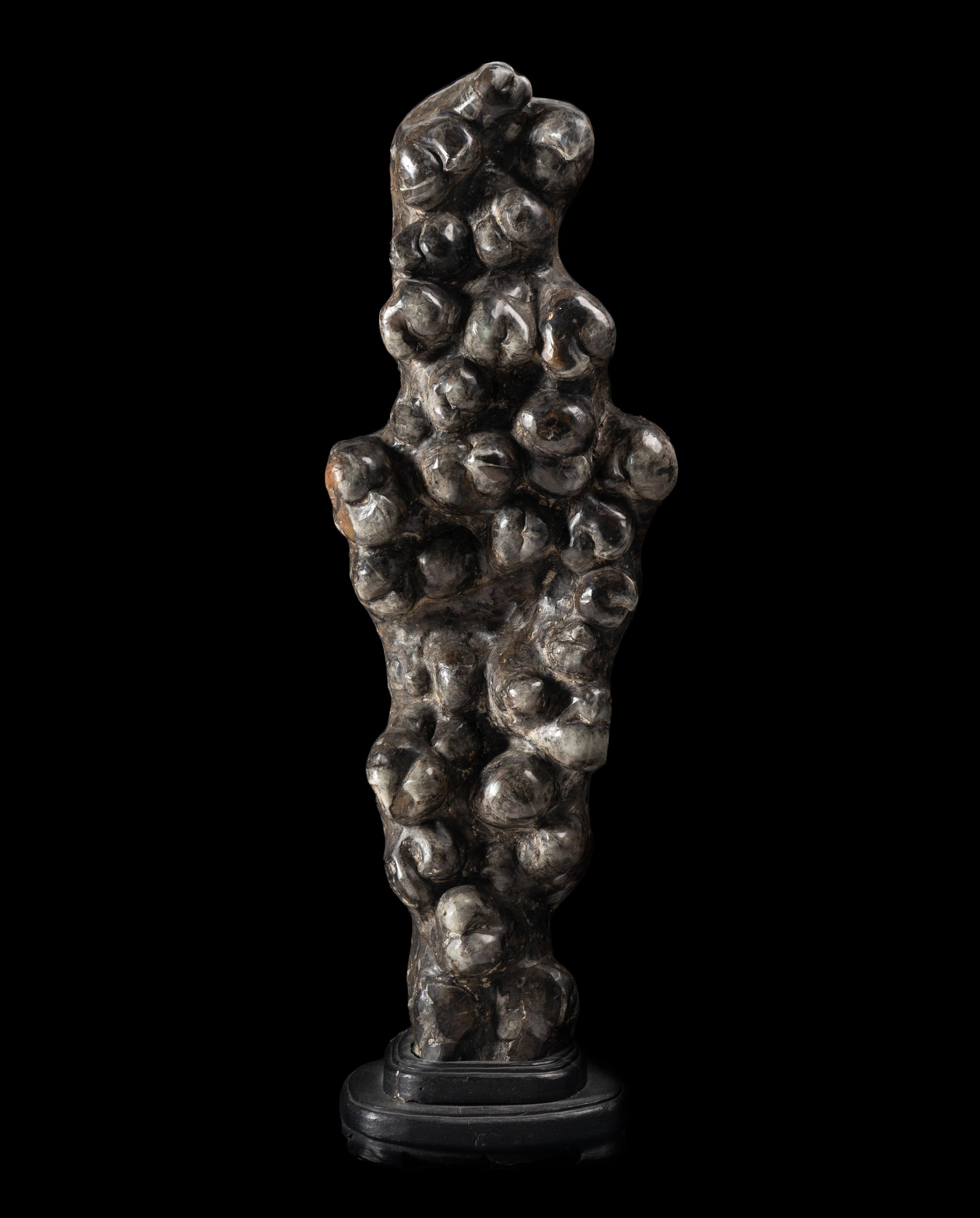A Chinese Scholar's Rock