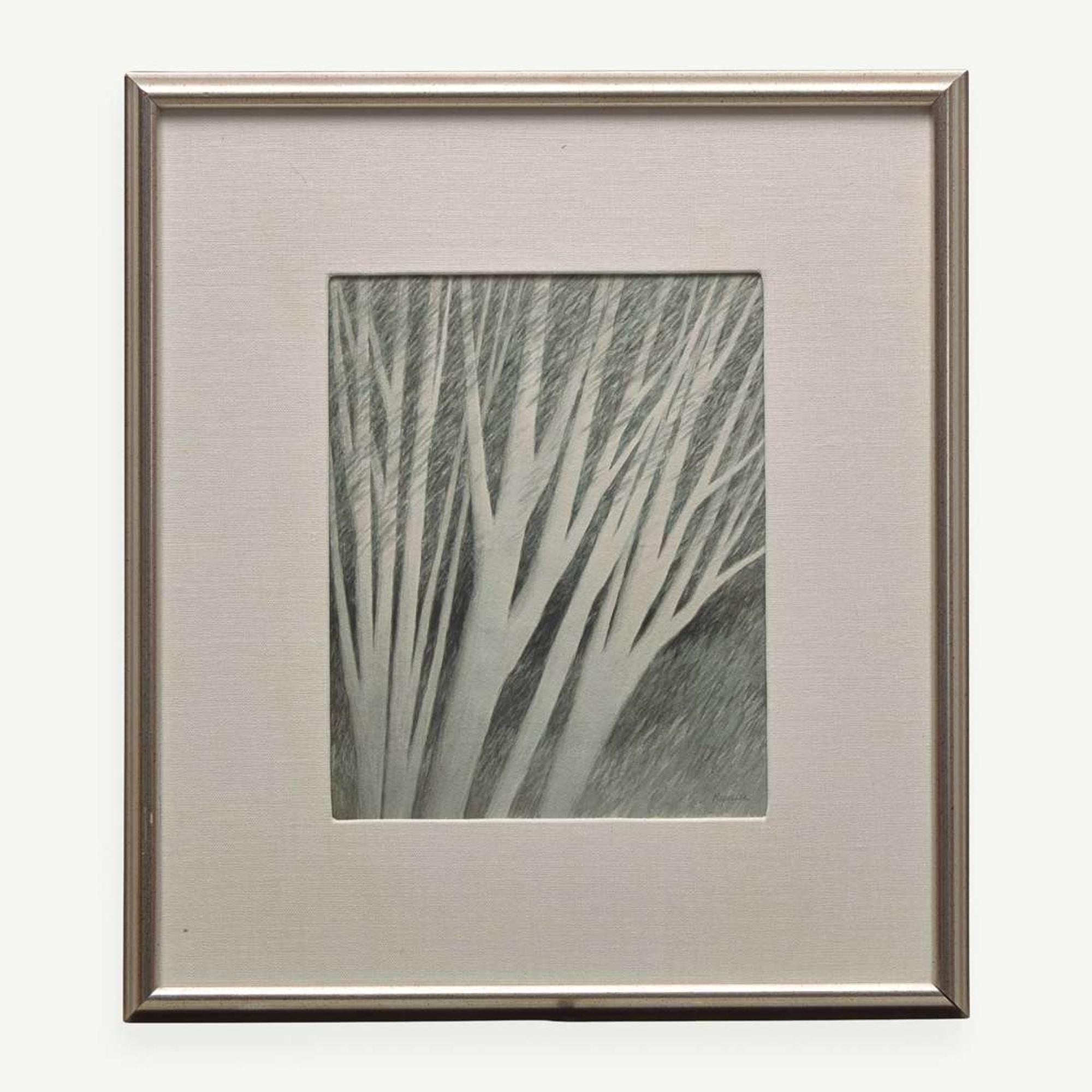 Robert Kipniss (American, b.1931) White Forest