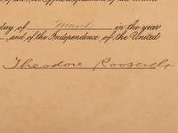 ROOSEVELT, Theodore (1858-1919). Partly-printed commission signed ("Theodore Roosevelt"). Washington, D.C., 18 March 1903.