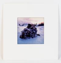 Joseph Jachna, (American, 20th century), Grouse Winter Wisconsin